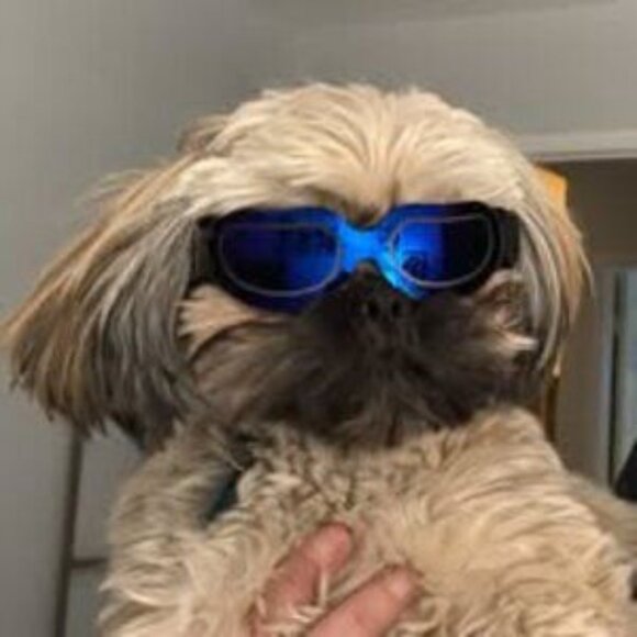 I'M LIVE - Picture 7 of 8